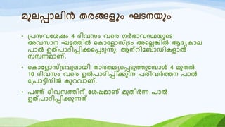 മുലപ്പോലിൻ തരങ്ങളും ഘടനയും
• ്രസവയശഷം 4 ദിവസം വറര രർഭോവസ്ഥയുറട
അവസോന ഘട്ടത്തിൽ റകോയളോസ്്ടം അറലലങ്കിൽ ആദയകോല
രോൽ ഉത്രോദിപ്പിക്കറപ്പടുന്നു; ആന്െിയബോഡികളോൽ
സമ്പന്നമോണ്.
• റകോയളോസ്്ടവുമോയി തോരതമയറപ്പടുത്തുയമ്പോൾ 4 മുതൽ
10 ദിവസം വറര ഉൽരോദിപ്പിക്കുന്ന രരിവർത്തന രോൽ
യ്രോട്ടീനിൽ കുെവോണ്.
• രത്ത് ദിവസത്തിന് യശഷമോണ് മുതിർന്ന രോൽ
ഉത്രോദിപ്പിക്കുന്നത്
 