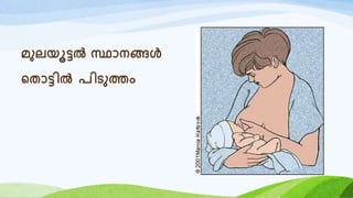 മുലയൂട്ടൽ സ്ഥോനങ്ങൾ
റതോട്ടിൽ രിടുത്തം
 