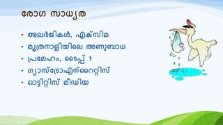 യരോര സോധയത
• അലർജികൾ, എക്റ്സിമ
• മൂ്തനോളിയിറല അണുബോധ
• ്രയമഹം, ഹടപ്പ് 1
• രയോസ്യ്ടോഎന്ഹെറിസ്
• ഓട്ടിറിസ് മീഡിയ
 