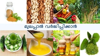 മുലപ്പോൽ വർദ്ധിപ്പിക്കോൻ
 