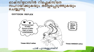 ഓക്റ്സിയടോസിൻ െിറെക്റ്സിറന
സഹോയിക്കുകയും തടസ്സറപ്പടുത്തുകയും
റെയ്യുന്നു
രോൽ രുെന്തള്ളുന്നതിന്
 