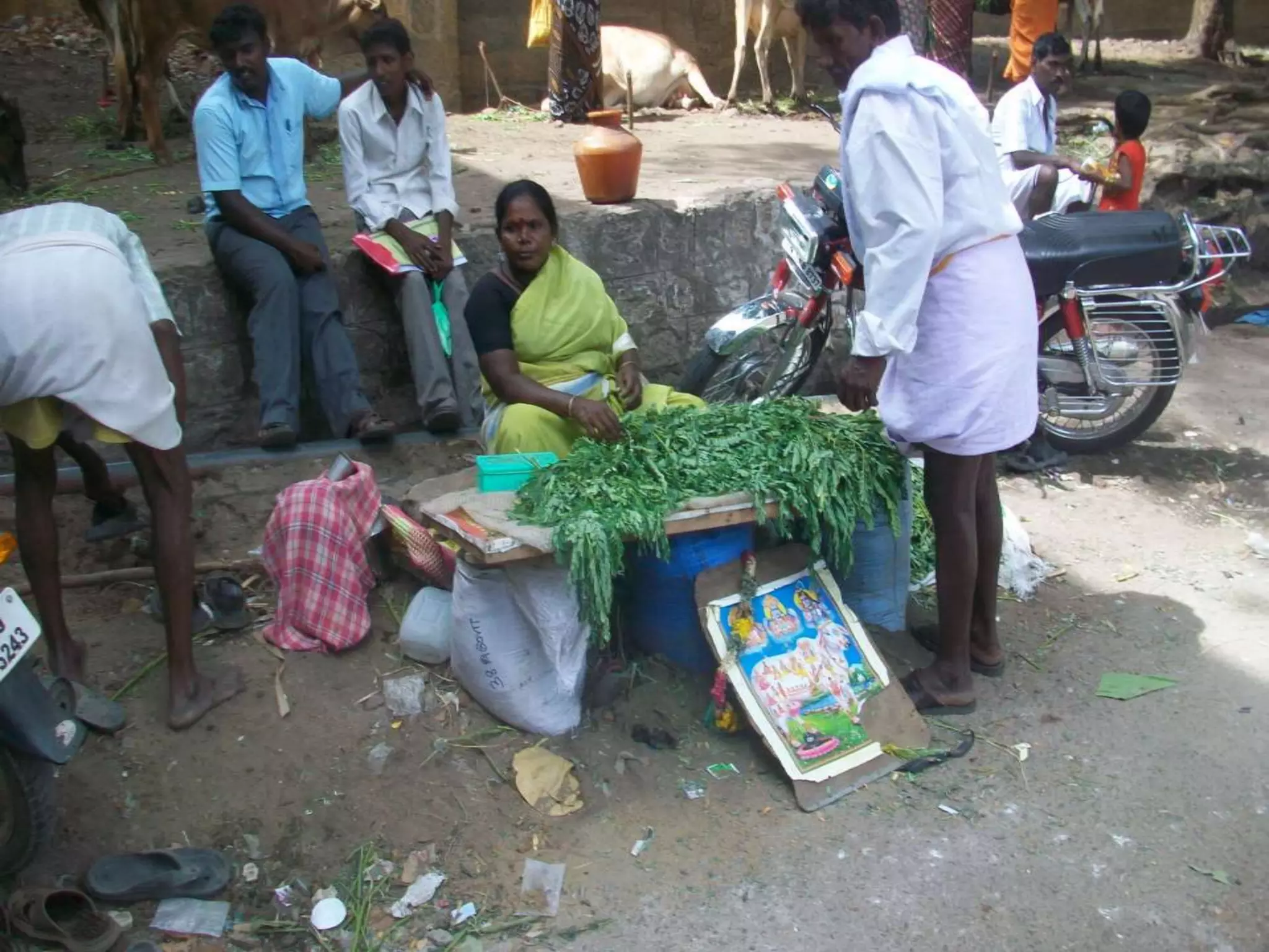 Livelihood Photos Vinod Ambedkar's Collection