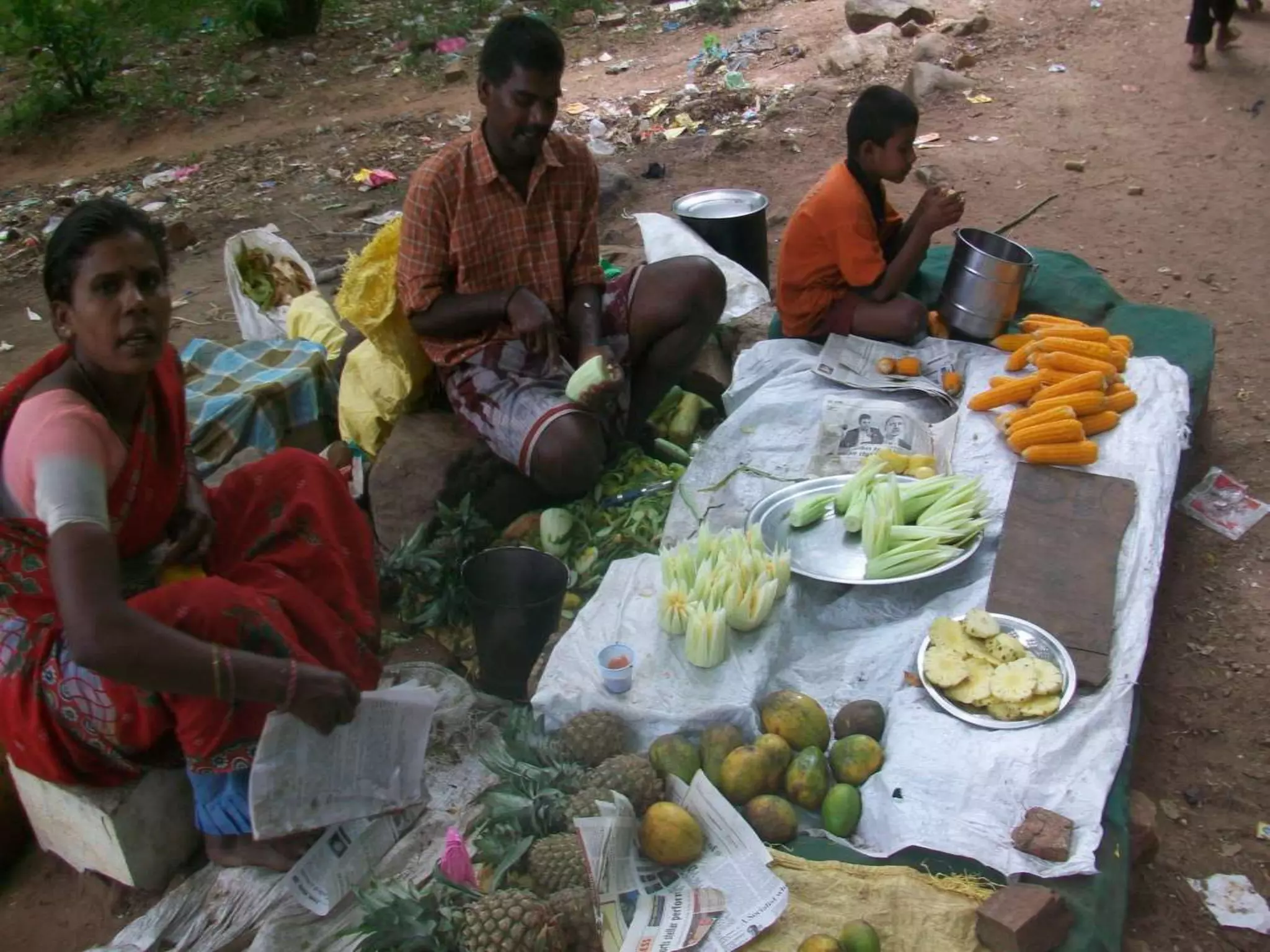 Livelihood Photos Vinod Ambedkar's Collection