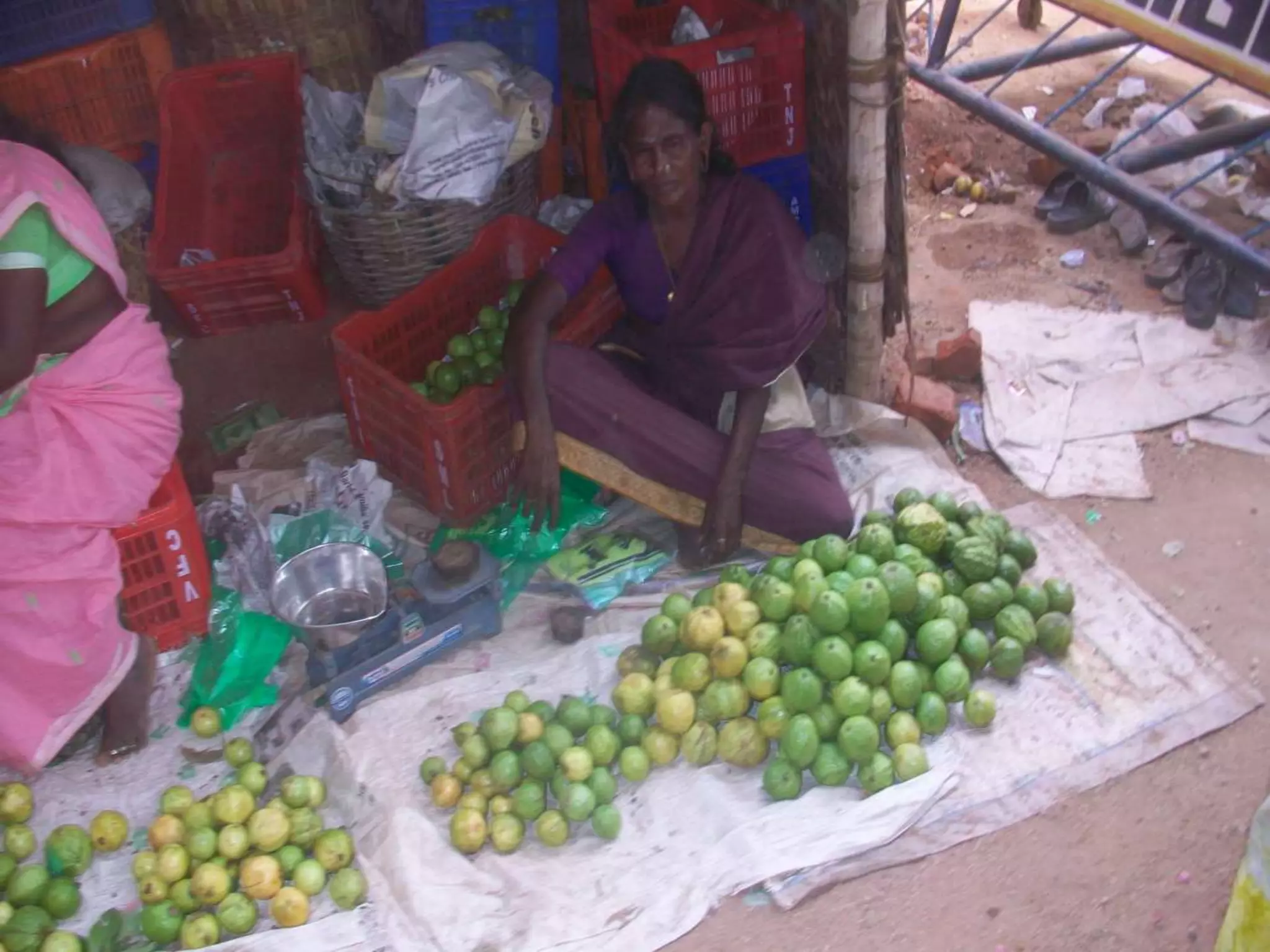 Livelihood Photos Vinod Ambedkar's Collection