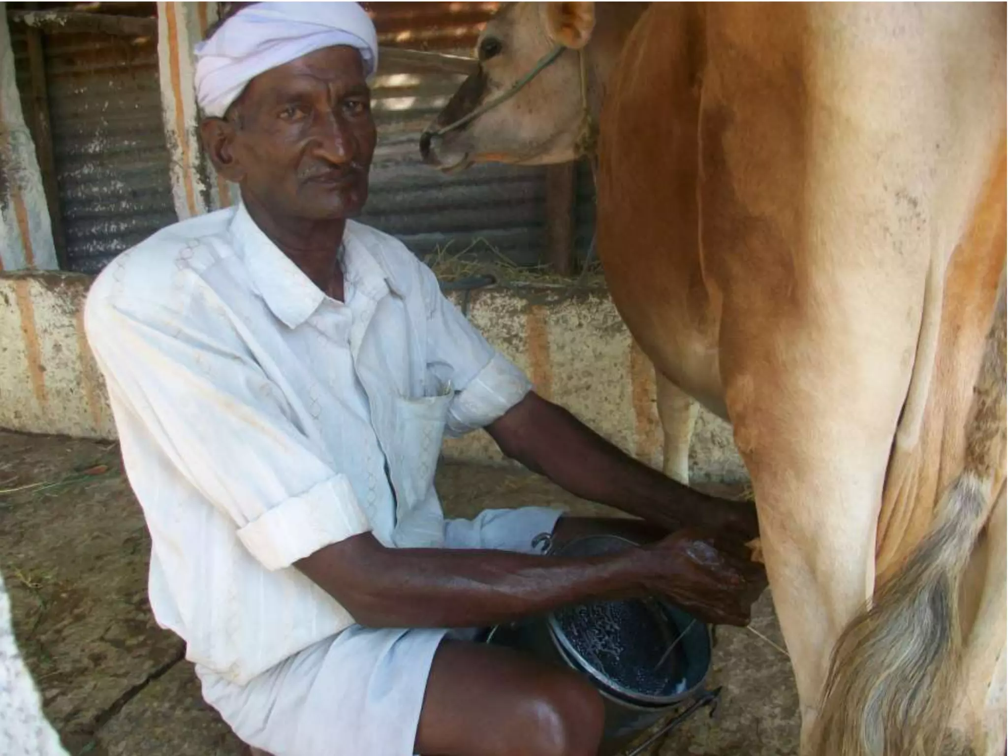 Livelihood Photos Vinod Ambedkar's Collection