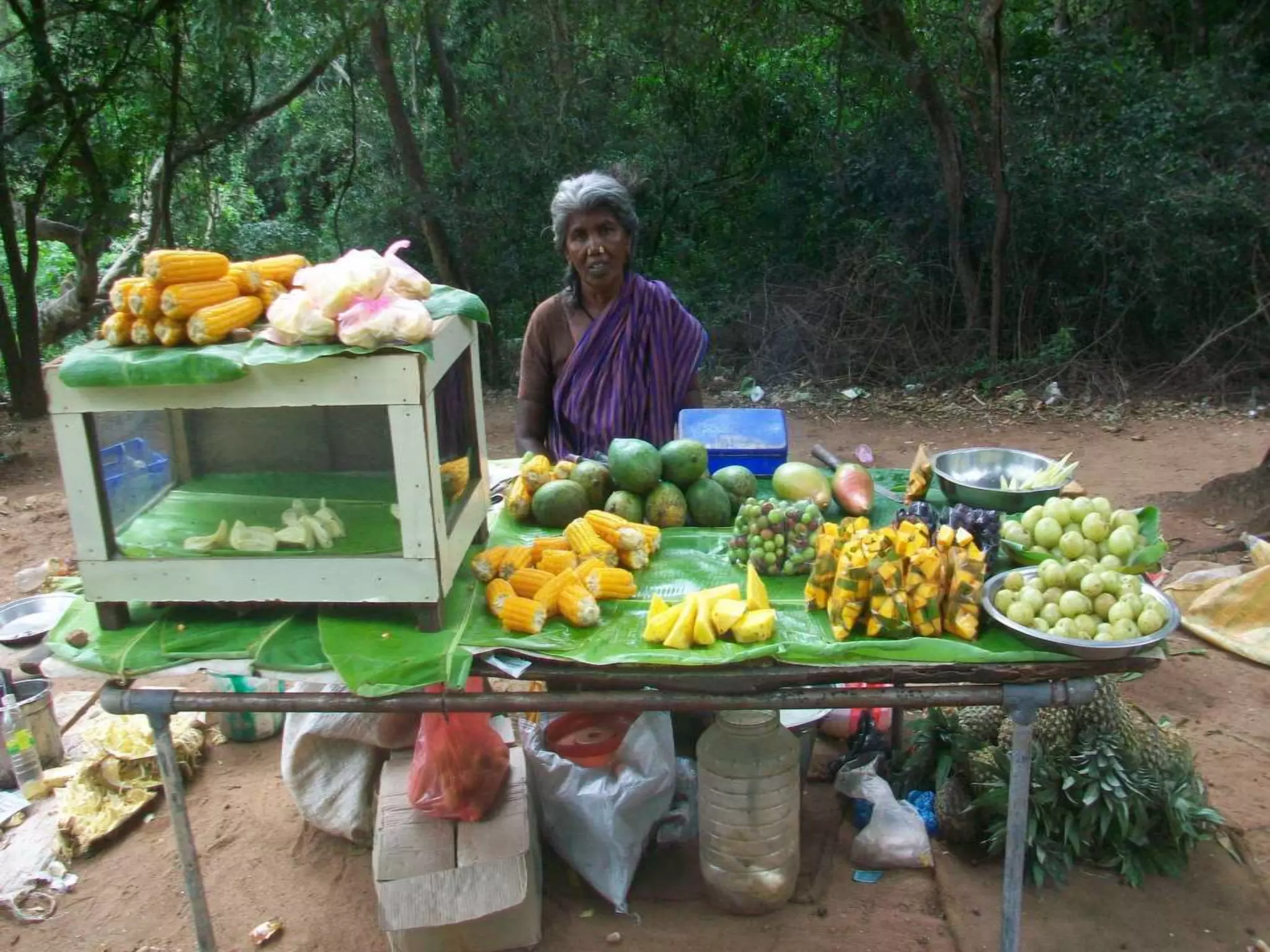 Livelihood Photos Vinod Ambedkar's Collection