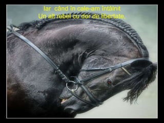 Iar  când în cale-am întâlnit Un alt rebel cu dor de libertate, 