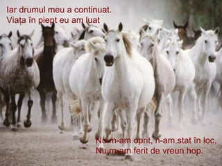 Iar drumul meu a continuat. Viaţa în piept eu am luat  Nu m-am oprit, n-am stat în loc, Nu m-am ferit de vreun hop. 