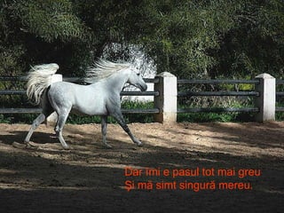 Dar îmi e pasul tot mai greu Şi mă simt singură mereu. 