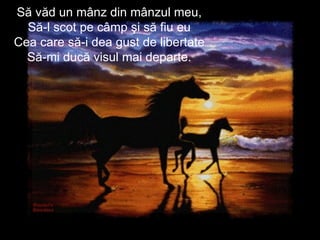Să văd un mânz din mânzul meu, Să-l scot pe câmp şi să fiu eu Cea care să-i dea gust de libertate Să-mi ducă visul mai departe. 