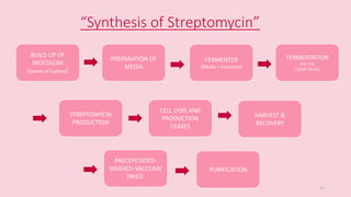 “Synthesis of Streptomycin”
BUILD UP OF
INOCULUM
(Spores of S.gireus)
FERMENTATION
(PH:7-8)
(TEMP:25-30)
FERMENTER
(Media + Inoculum)
CELL LYSIS AND
PRODUCTION
CEASES
HARVEST &
RECOVERY
PRECEPETATED-
WASHED-VACCUME
DRIED.
STREPTOMYCIN
PRODUCTION
PREPARATION OF
MEDIA
PURIFICATION
11
 