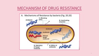 MECHANISM OF DRUG RESISTANCE
7
 