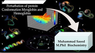 Muhammad Saeed
M.Phil Biochemistry
 
