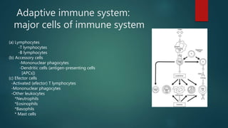 immunology for ent | PPTX