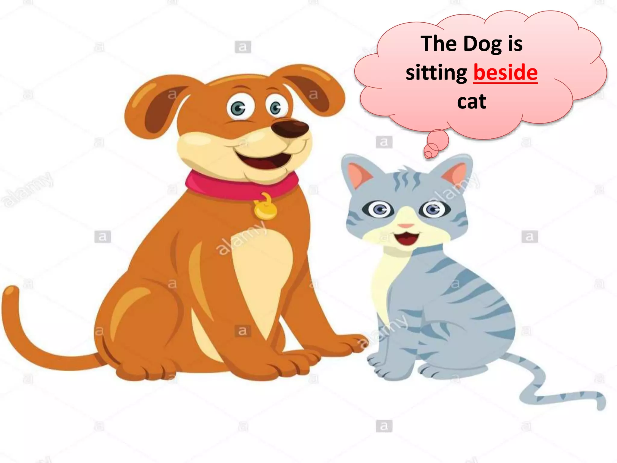 The Dog is
sitting beside
cat