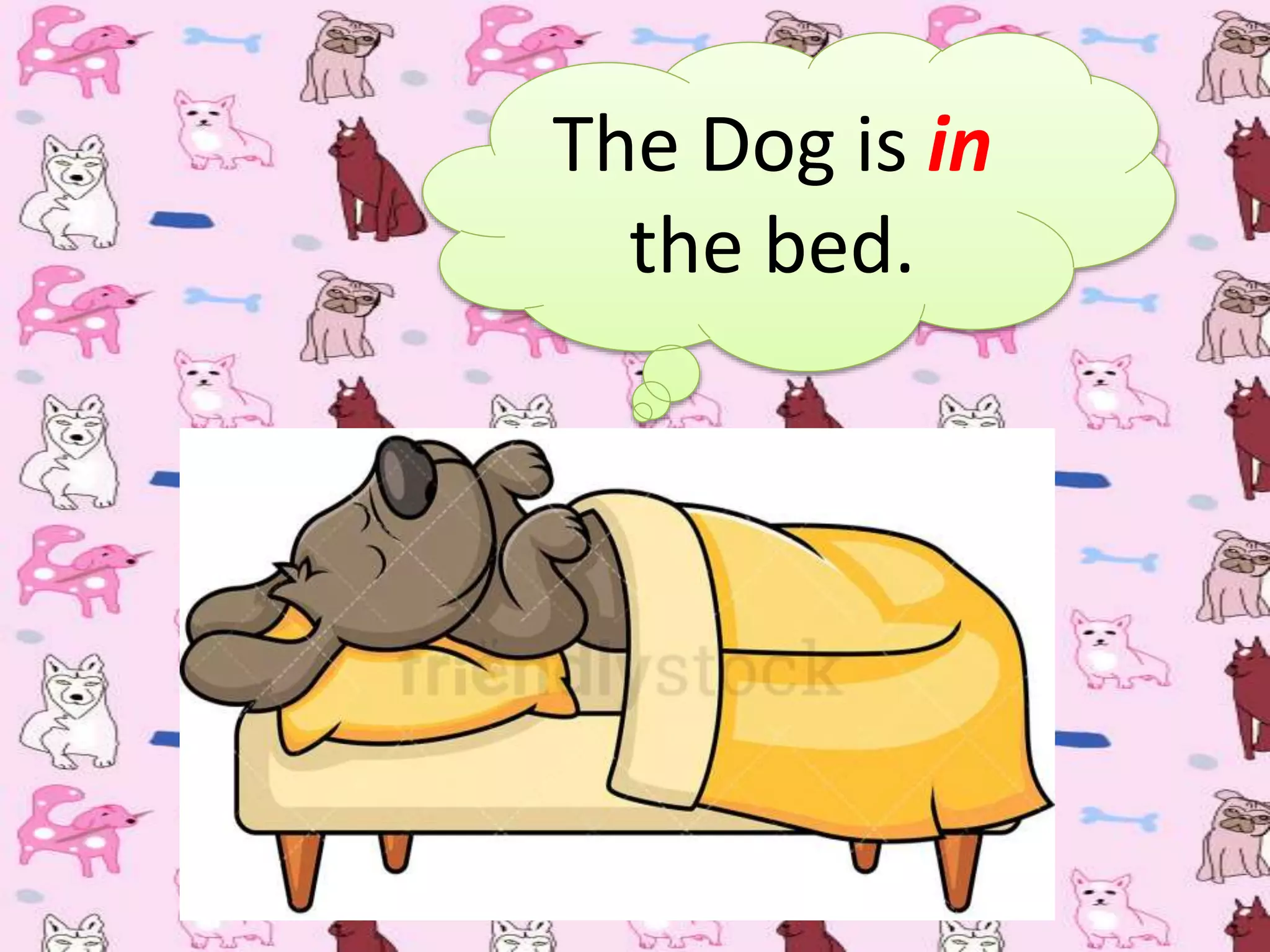 The Dog is in
the bed.