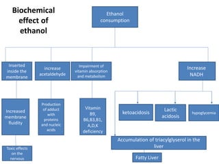 Ethanol
consumption
Increase
NADH
Impairment of
vitamin absorption
and metabolism
increase
acetaldehyde
Inserted
inside the
membrane
Vitamin
B9,
B6,B3,B1,
A,D,K
deficiency
Production
of adduct
with
proteins
and nucleic
acids
Increased
membrane
fluidity
hypoglycemia
Lactic
acidosis
ketoacidosis
Accumulation of triacylglyserol in the
liver
Fatty Liver
Toxic effects
on the
nervous
Biochemical
effect of
ethanol
 
