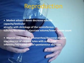 Reproduction
• Modest ethanol doses decrease erectile
capacity/testicular
atrophy with shrinkage of the seminiferous
tubules/decreases in ejaculate volume/lower sperm count
• Women can result in amenorrhea/decrease ovarian
size/absence of corpora lutea with associated
infertility/increased risk of spontaneous abortion
 