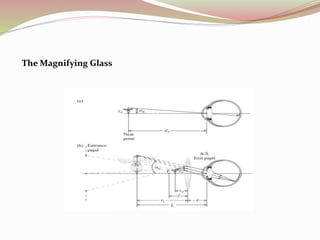 The Magnifying Glass
 