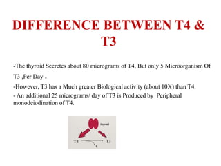 DIFFERENCE BETWEEN T4 &
T3
-The thyroid Secretes about 80 micrograms of T4, But only 5 Microorganism Of
T3 ,Per Day .
-However, T3 has a Much greater Biological activity (about 10X) than T4.
- An additional 25 micrograms/ day of T3 is Produced by Peripheral
monodeiodination of T4.
 