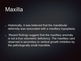 Maxilla
Historically, it was believed that the mandibular
deformity was associated with a maxillary hypoplasia.
Recent findings suggest that the maxillary anomaly
is not a true volumetric deficiency. The maxillary cant
observed is secondary to vertical growth inhibition by
the pathologically small mandible.
 