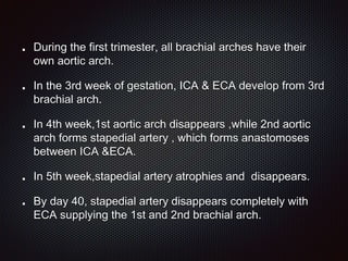 During the first trimester, all brachial arches have their
own aortic arch.
In the 3rd week of gestation, ICA & ECA develop from 3rd
brachial arch.
In 4th week,1st aortic arch disappears ,while 2nd aortic
arch forms stapedial artery , which forms anastomoses
between ICA &ECA.
In 5th week,stapedial artery atrophies and disappears.
By day 40, stapedial artery disappears completely with
ECA supplying the 1st and 2nd brachial arch.
 