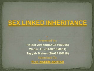Presented by:
Haider Azeem(BAGF19M006)
Waqar Ali (BAGF19M001)
Tayyab Mateen(BAGF19M18)
Submitted To:
Prof. NAEEM AKHTAR
 
