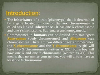  The inheritance of a trait (phenotype) that is determined
by a gene located on one of the sex chromosomes is
called sex linked inheritance . It has one X chromosome
and one Y chromosome. But females are homogametic.
 Chromosomes in humans can be divided into two types:
Auto-somes (body chromosomes) and Allo-some (sex
chromosomes). There are two different sex chromosomes:
the X chromosome and the Y chromosome. A girl will
have two X chromosomes (written as XX), but a boy will
have one X and one Y chromosome (written as XY). This
means that no matter your gender, you will always have at
least one X chromosome
 