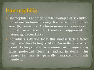  Haemophila is another popular example of sex linked
inheritance in human beings. It is caused by a mutant
gene (h) present in X chromosome and recessive to
normal gene and is, therefore, suppressed in
heterozygous condition.
 Individuals suffering from this disease lack a factor
responsible for clotting of blood. So in the absence of
blood clotting substance, a minor cut or injury may
cause prolonged bleeding leading to death. This
disease in man is generally restricted to male
members.
 