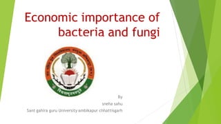 Economic importance of
bacteria and fungi
By
sneha sahu
Sant gahira guru University ambikapur chhattisgarh
 