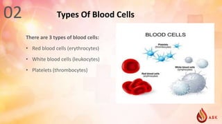 Blood Disorders Awareness | PPTX