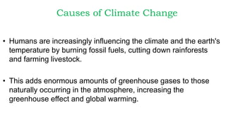 Causes of Climate Change
• Humans are increasingly influencing the climate and the earth's
temperature by burning fossil fuels, cutting down rainforests
and farming livestock.
• This adds enormous amounts of greenhouse gases to those
naturally occurring in the atmosphere, increasing the
greenhouse effect and global warming.
 