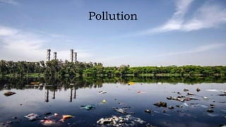 Pollution
 