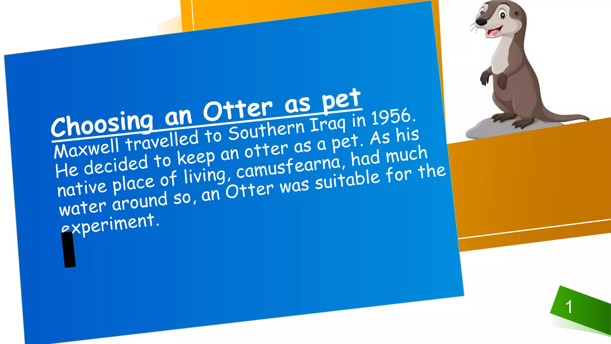 Mijbil The Otter Class 10.pptx