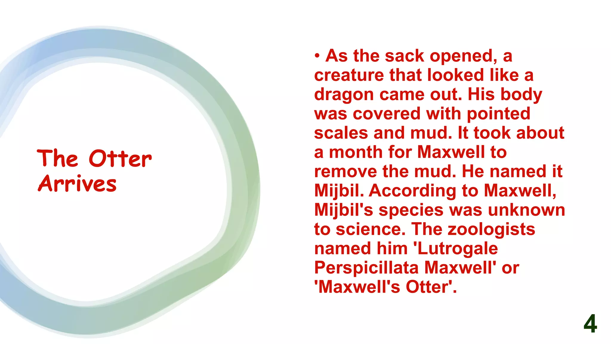 Mijbil The Otter Class 10.pptx