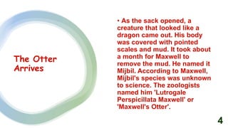 Mijbil The Otter Class 10.pptx