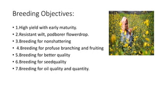 Breeding Objectives:
• 1.High yield with early maturity.
• 2.Resistant wilt, podborer flowerdrop.
• 3.Breeding for nonshattering
• 4.Breeding for profuse branching and fruiting
• 5.Breeding for better quality
• 6.Breeding for seedquality
• 7.Breeding for oil quality and quantity.
 