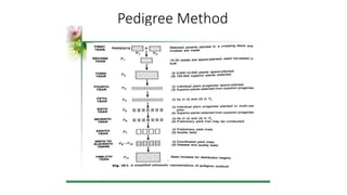 Pedigree Method
 