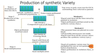 Production of synthetic Variety
 