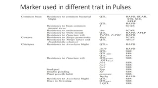 Marker used in different trait in Pulses
 