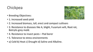 Chickpea
• Breeding Objectives:
• 1. Increased seed yield
• 2. Increased biomass, tall, erect and compact cultivars
• 3. Resistance to diseases like A, blight, Fusarium wilt, Root rot,
Botrytis grey mold.
• 4. Resistance to insect pests – Pod borer
• 5. Tolerance to stress environments
• a) Cold b) Heat c) Drought d) Saline and Alkaline.
 