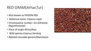 RED GRAM(Arhar,Tur)
• Also known as PEGION PEA
• Botanical name: Cajanus cajan
• Chromosome number: 2n=22Family:
(leguminoseae)
• Place of origin-Africa/Asia
• Wild species-Cajanus kersting
• Related crossable genera:Rhynchosia
 