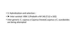 • 3. Hybridization and selection :
• ➤ Inter varietal: VBN 1 (Prabath x NY 34) (T.12 x 102)
• Inter generic: C. cajanus x Cajanus lineataC.cajanus x C. scaraboides
are being attempted
 