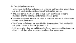 4-. Population improvement:
• Using male sterile line and recurrent selection methods, two populations
are used, one is seed parent and the other is pollen parent.
• The seed parent must have one or two easily identifiable recessive
character and the pollen parent more dominant genes.
• The seed and pollen parents are sown in alternate rows so as to maximize
natural cross pollination.
• The F¹'s and selfed ones are identified in, So generation. Theidentified F¹s
are space planted in the next generation S¹.
• In S2 generation they are yield tested in 3 environments and best ones are
either recycled or taken to conventionalbreeding programme.
 