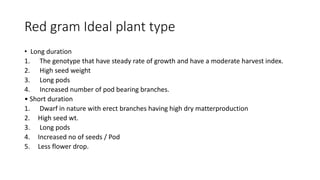 Red gram Ideal plant type
• Long duration
1. The genotype that have steady rate of growth and have a moderate harvest index.
2. High seed weight
3. Long pods
4. Increased number of pod bearing branches.
• Short duration
1. Dwarf in nature with erect branches having high dry matterproduction
2. High seed wt.
3. Long pods
4. Increased no of seeds / Pod
5. Less flower drop.
 