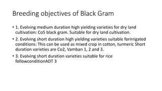 Breeding objectives of Black Gram
• 1. Evolving medium duration high yielding varieties for dry land
cultivation: Co5 black gram. Suitable for dry land cultivation.
• 2. Evolving short duration high yielding varieties suitable forirrigated
conditions: This can be used as mixed crop in cotton, turmeric Short
duration varieties are Co2, Vamban 1, 2 and 3.
• 3. Evolving short duration varieties suitable for rice
followconditionADT 3
 