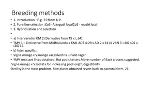 Breeding methods
• 1. Introduction : E.g. T.9 from U.P.
• 2. Pure line selection :Co3- Alangudi localCo5 - musiri local
• 3. Hybridization and selection
•
• a) Intervarietial KM 2 (Derivative from T9 x L.64)
• TMV 1 – Derivative from Midhiulundu x KM1 ADT 4-29 x AD 2 x 6114 VBN 3- LBG 402 x
LBG 17.
• b) Inter specific :
• Vigna mungo x V.mungo var.sylvestris – Pant nagar.
• YMV resistant lines obtained. But pod shatters.More number of Back crosses suggested.
Vigna mungo x V.radiata for increasing pod length,digestibility.
Sterility is the main problem. Few plants obtained revert back to parental form. 21
 