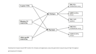 Development of gene-based SNP markers for chickpea and pigeonpea using next-generation sequencing and high-throughput
genotyping technologies.
 