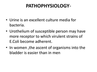 PATHOPHYSIOLOGY-
• Urine is an excellent culture media for
bacteria.
• Urothelium of susceptible person may have
more receptor to which virulent strains of
E.Coli become adherent.
• In women ,the ascent of organisms into the
bladder is easier than in men
 