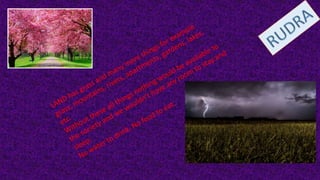 Animation Guide | PPTX